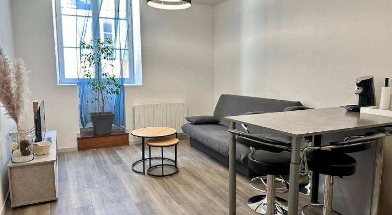 Nice rental apartment | Pet-friendly in Lons-le-Saunier