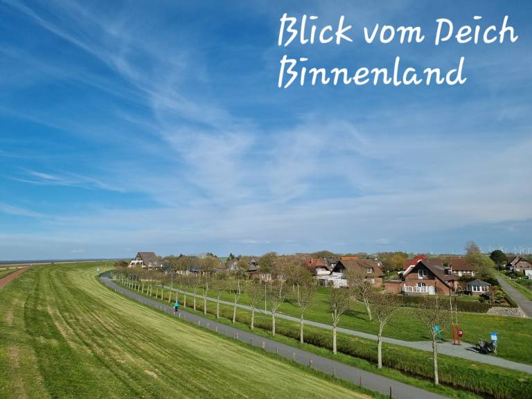 foto21
