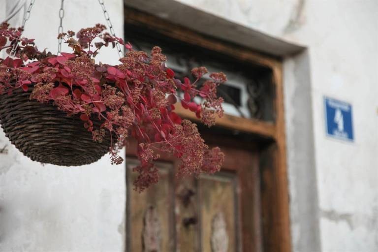 Holiday apartment with sauna, terrace & garden — photo 3