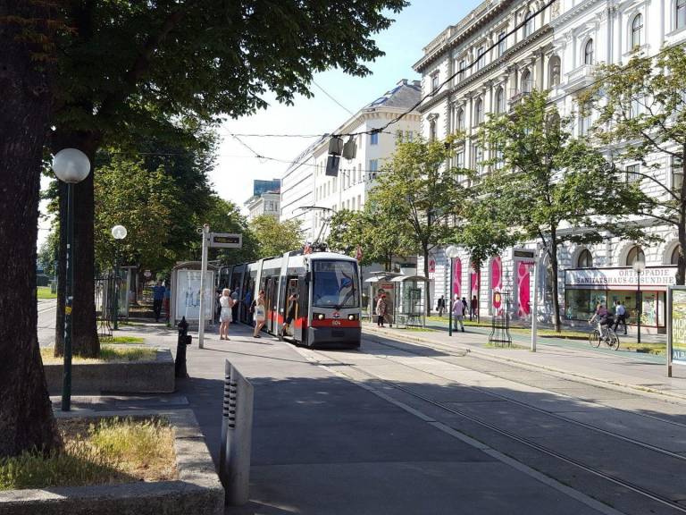 foto41