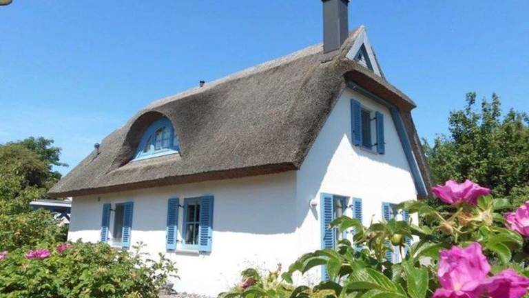 Ferienhaus Suhrendorf
