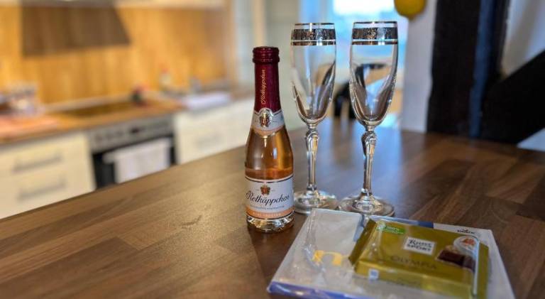 Apartment mit Hotelservice Leinefelde-Worbis