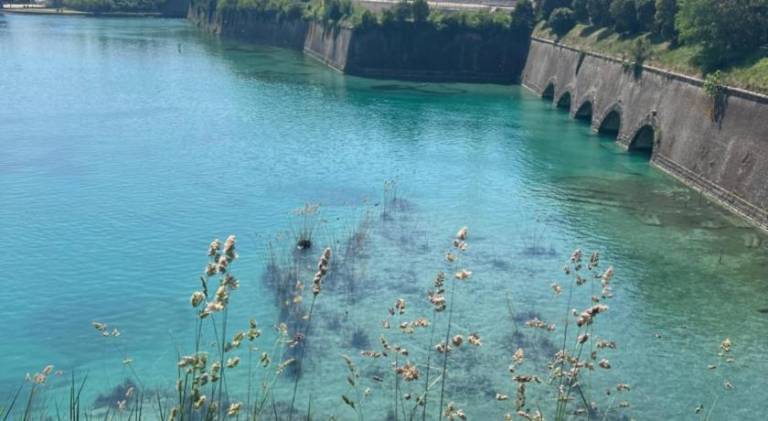 Holiday apartment with 1 room for 4 persons in Pozzolengo