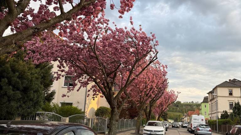 Ferienhaus  Pieschen