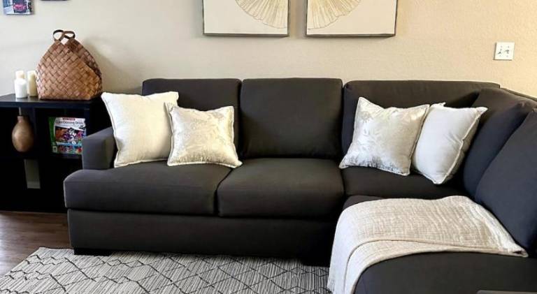 Wonderful rental apartment with jacuzzi & pool | Pets allowed in Lake Buena Vista, FL