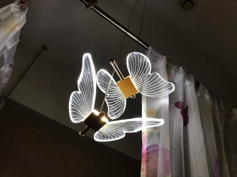 foto17