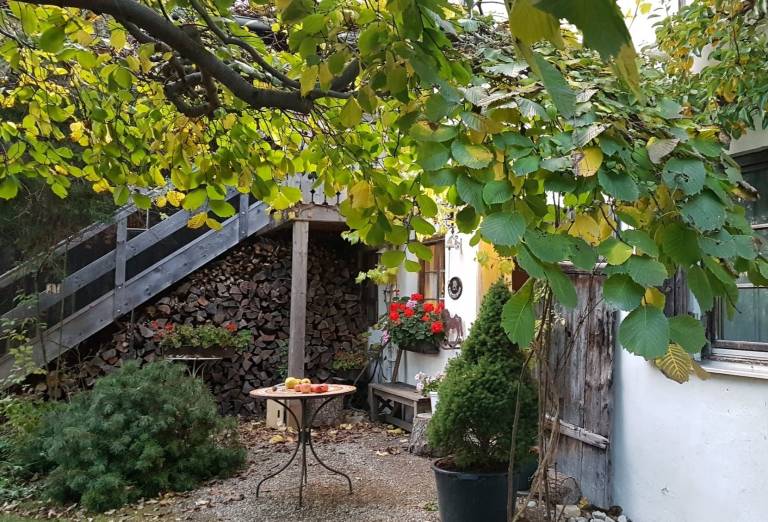 foto38