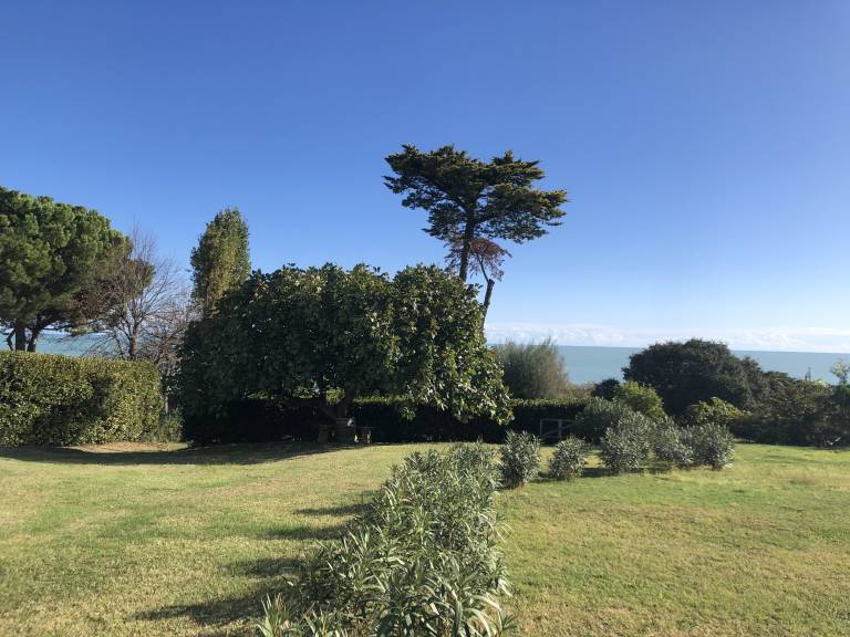 foto10