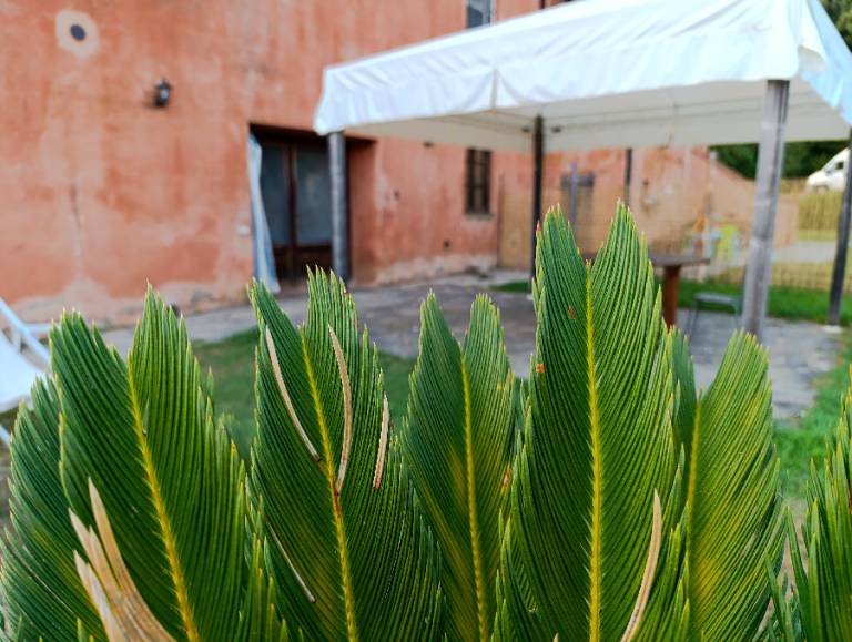 foto13