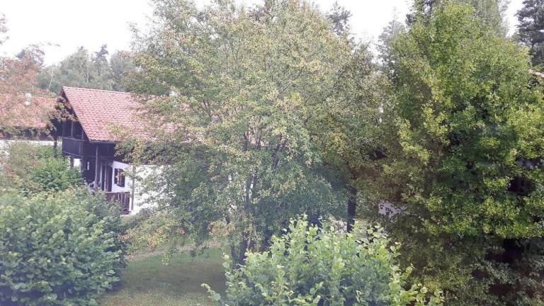 Ferienhaus Kattersdorf