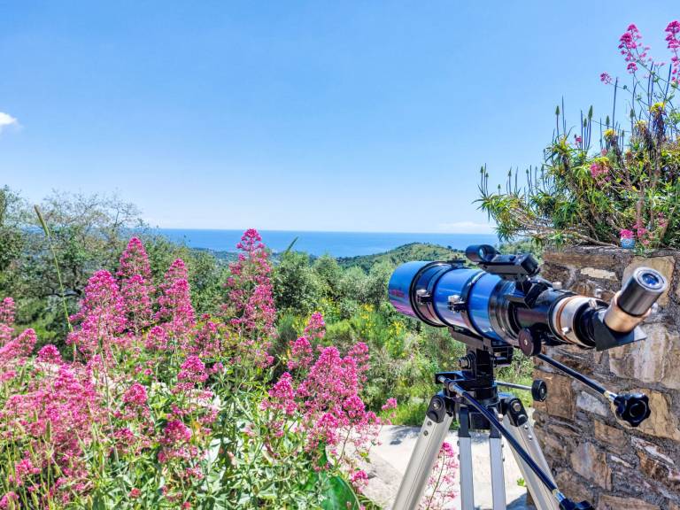 Ferienhaus in Dolcedo, Moltedo für max. 8 Gäste