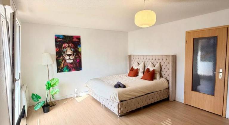 Wonderful apartment | Pets allowed in Vendenheim