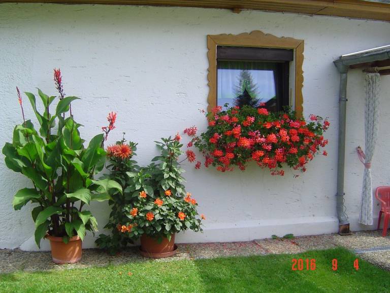 foto16