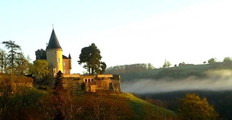 Maison de vacances Saint-Léon-sur-Vézère