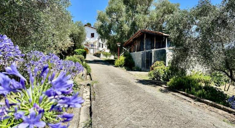 Agriturismo Uliveto Bartolomeo — photo 4