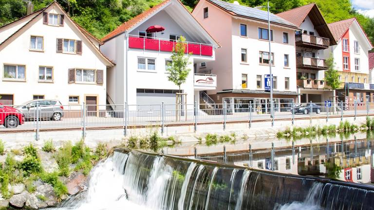 Ferienwohnung Oppenau