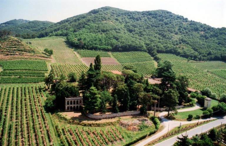 Camera privata Battaglia Terme