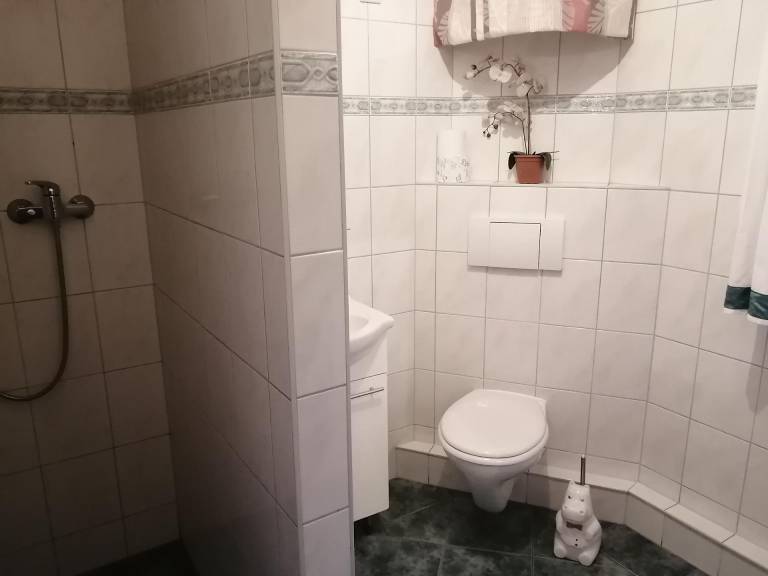 foto6