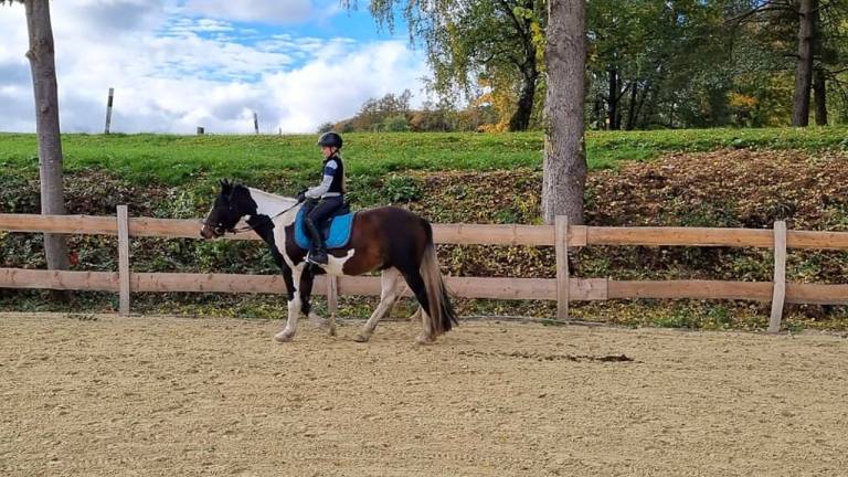Ferienwohnung  Neuwied