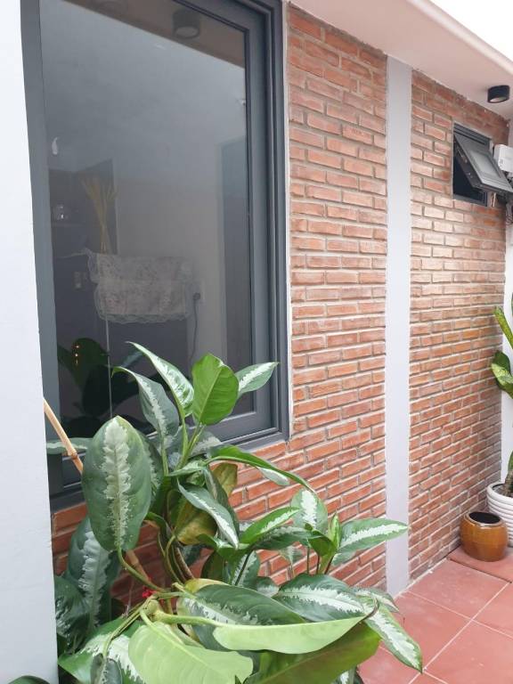Peony Flower (Nhu’s House 2) — photo 5