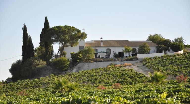 House with BBQ, private pool & patio in Jerez de la Frontera