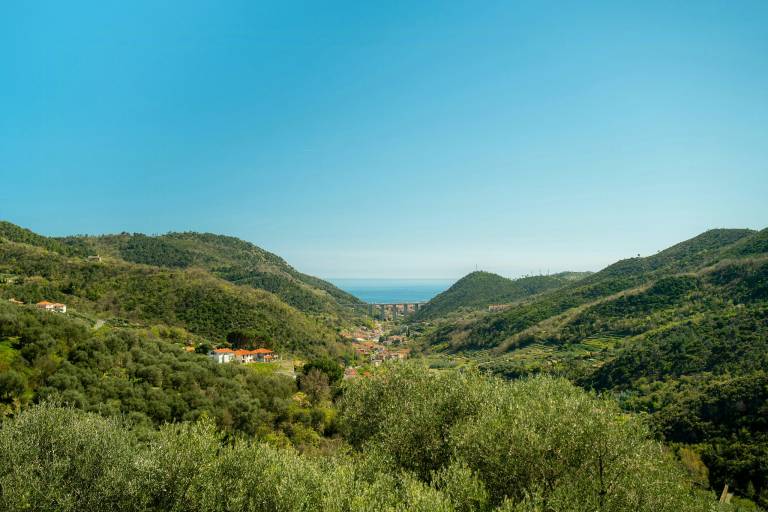 Sea view villa among Magliolo olive trees — photo 2