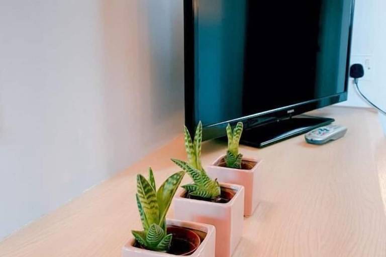 foto23