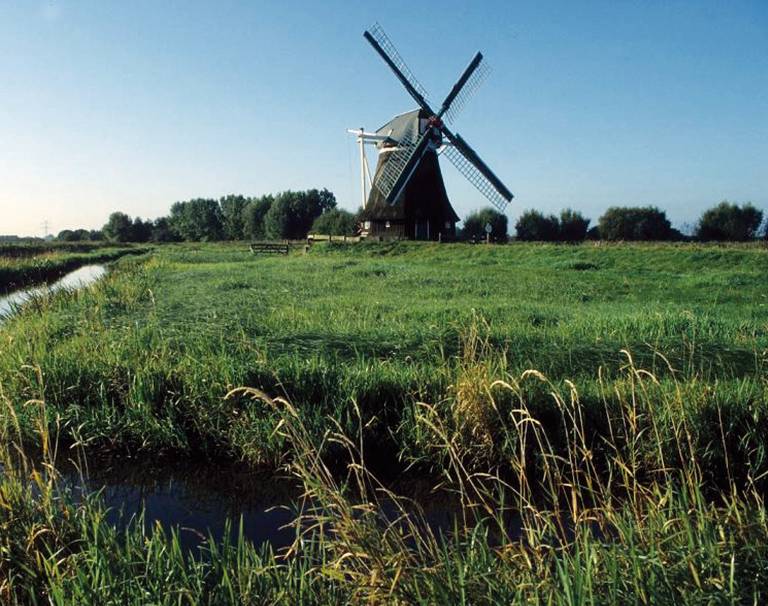 foto12