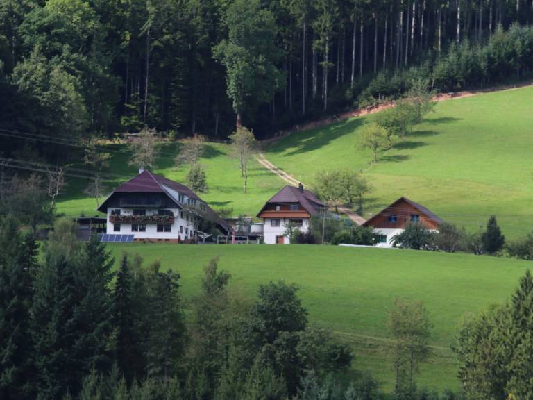foto18