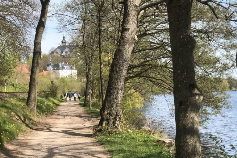foto41