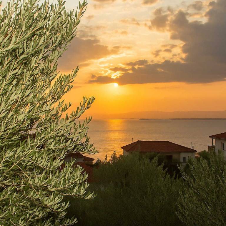 Διαμέρισμα Ano Verga