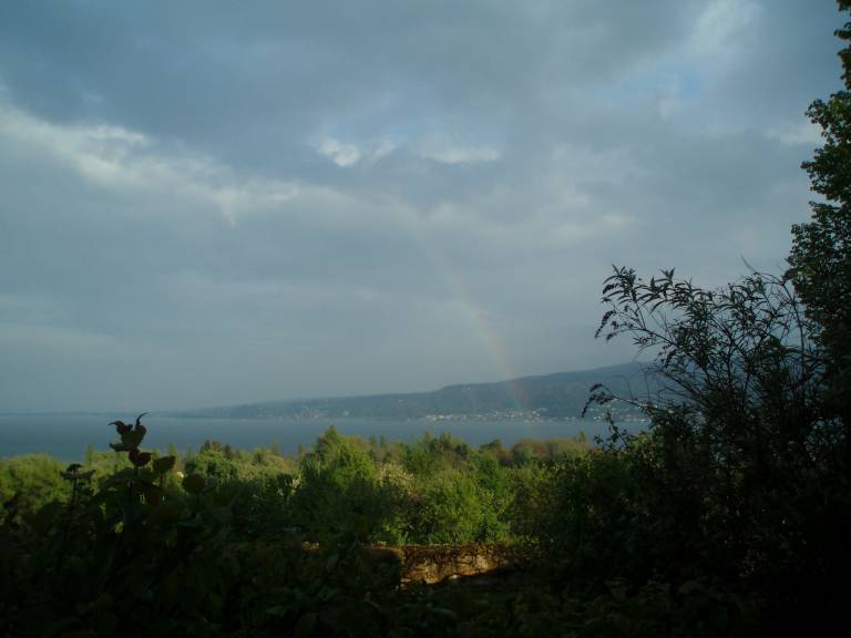 foto31