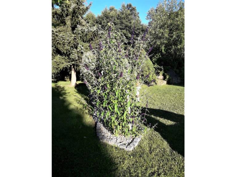 foto10