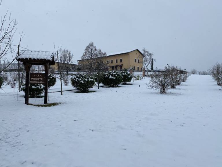 foto16