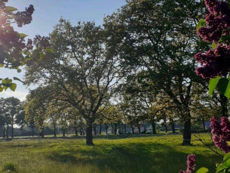 foto20
