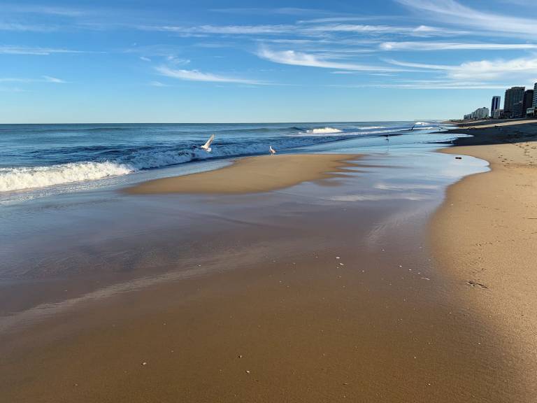Maison de vacances Northeast Virginia Beach