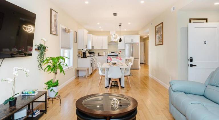 60-2 3BR Boston - Modern Apt near Franklin Park — photo 2