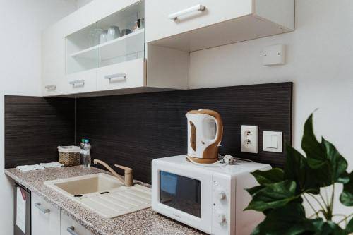 Služobný apartmán  Teplička nad Váhom
