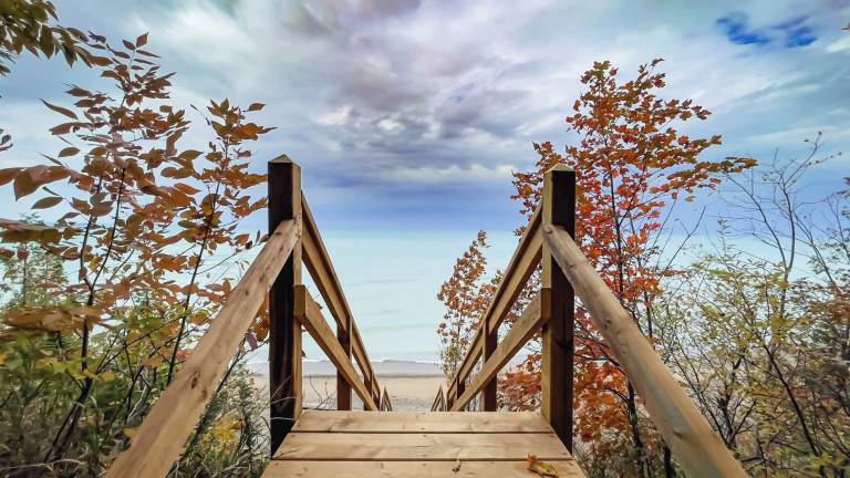 Cabin Bayfield