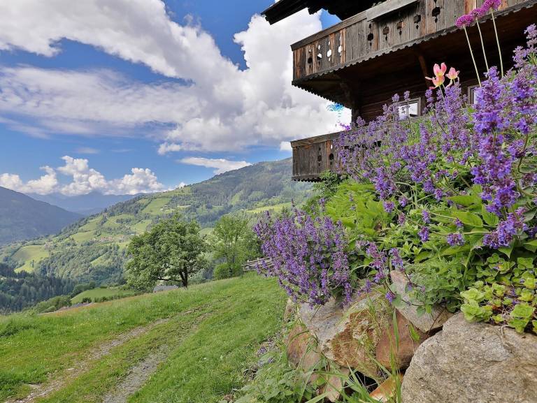 Hütte Radenthein