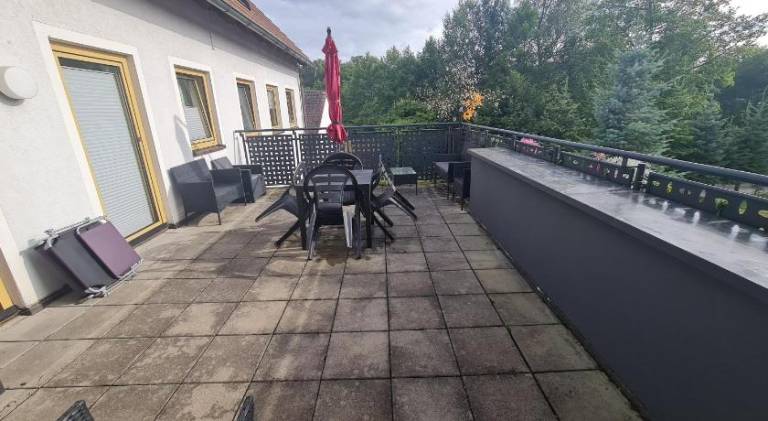 foto11