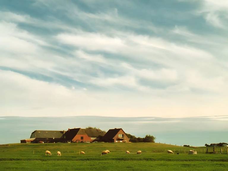 Ferienwohnung  Langeneß