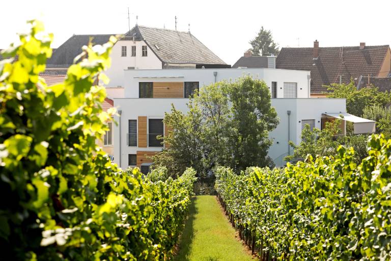 Ferienwohnung  Edenkoben