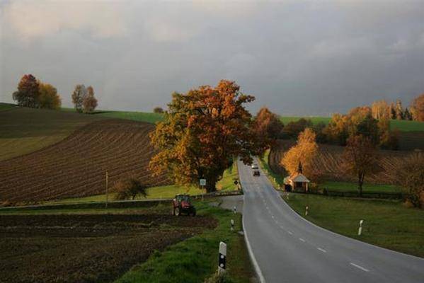 foto26