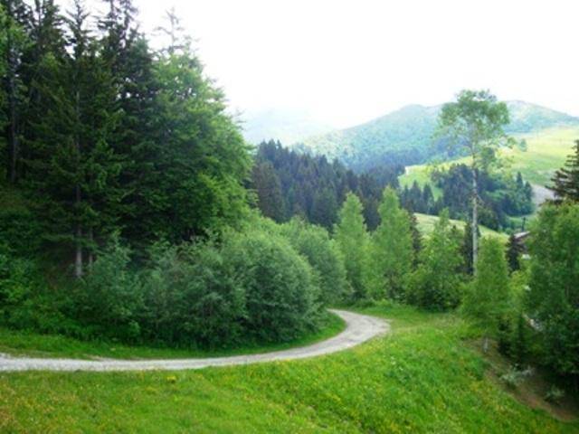 foto9
