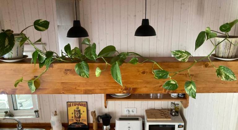 Acogedora casa en Rinlo, en la villa de Ribadeo — photo 4