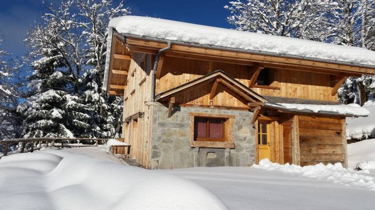 Fully equipped pleasant chalet with BBQ & terrace | Mountain view | Next to the ski | Good for workation | Dogs allowed in Morzine