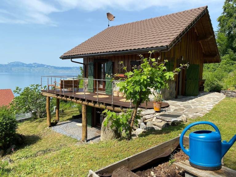 Chalet Thollon-les-Mémises