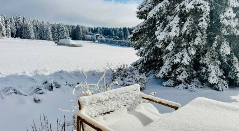 Chalet with 2 rooms for 5 persons — photo 4
