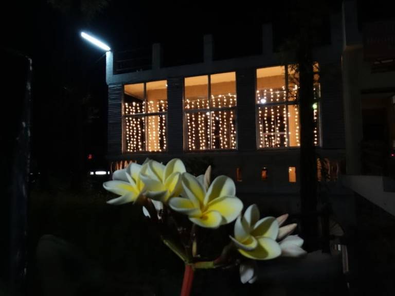 Tripti Cottage — photo 2